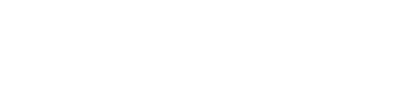 The Computer Shop